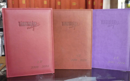 Egyedi tárgyalási naplók