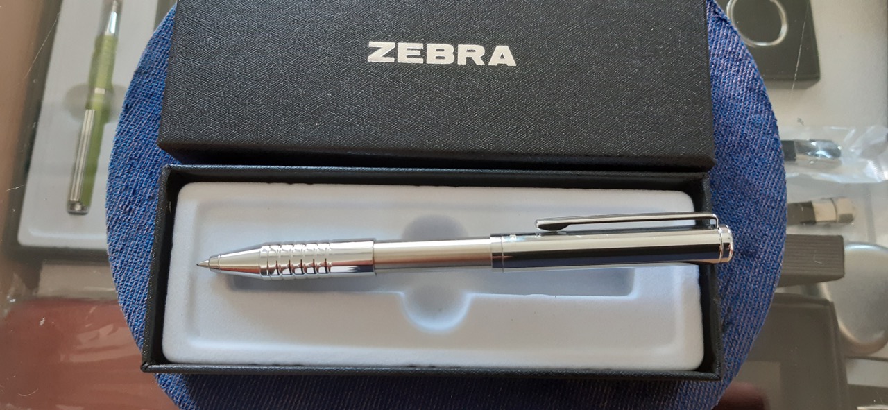 grav zebra 2022 1